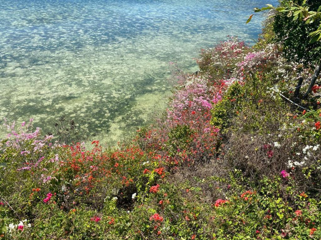 Tahanan Resort Σαν Χουάν Εξωτερικό φωτογραφία